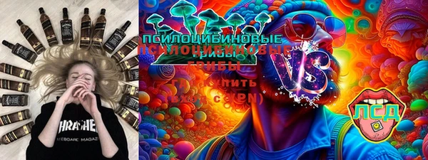 apvp Карпинск