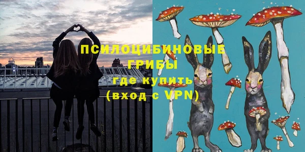 apvp Карпинск