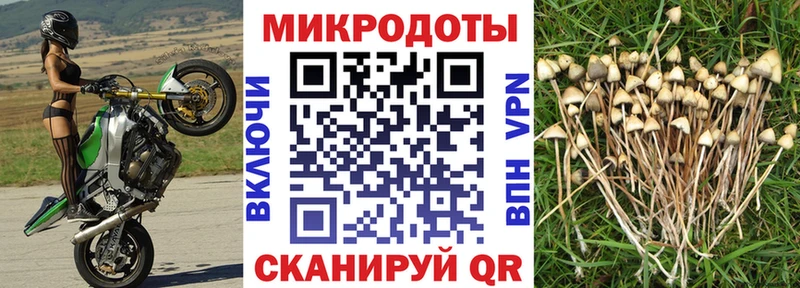 Галлюциногенные грибы мухоморы  Никольск 